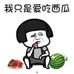 吃娱乐圈瓜应该去哪里